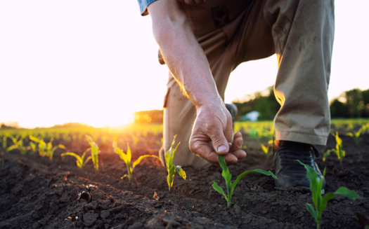 Food insecure research site Feeding America reports nearly 951,000 or 1 in 7 Hoosiers face hunger.(Adobe Stock)