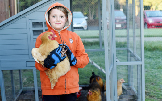 Bethany Christian Schools' teachers, students, grounds and kitchen staff -- as well as their laying hens -- work hard every day to bring the beauty of nature close to home. (Bethany Christian Schools)