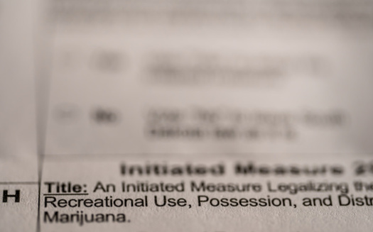 Nine states do not allow citizen-initiated ballot measures: Alabama, Delaware, Minnesota, New Hampshire, New York, South Carolina, Tennessee, Texas and Vermont. (Lost_in_the_Midwest/Adobe Stock)