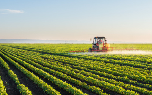Conventional farming methods often involve the use of herbicides and fungicides to suppress weeds and fungi. Tilling the soil, a common practice, disrupts vital fungal networks, creating a cycle of dependence on chemical inputs. (Dusan Kostic/Adobe Stock)