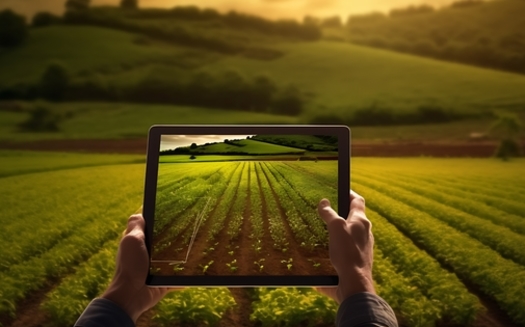 Agricultural researchers said farmers can now use technology to evaluate different crop zones and individually adjust how they irrigate and fertilize each area to improve their yield. (Adobe Stock/AI)