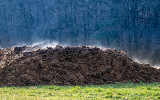 About 30% of agricultural methane emissions stem from manure storage. The other 70% comes from the digestive systems of livestock. (Adobe Stock)