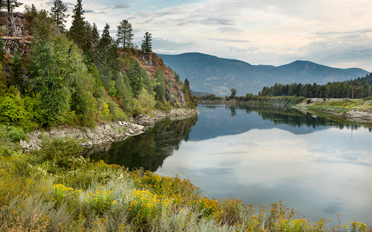 The Kootenai River runs through the northern part of the Idaho panhandle. (Gregory Johnston/Adobe Stock)