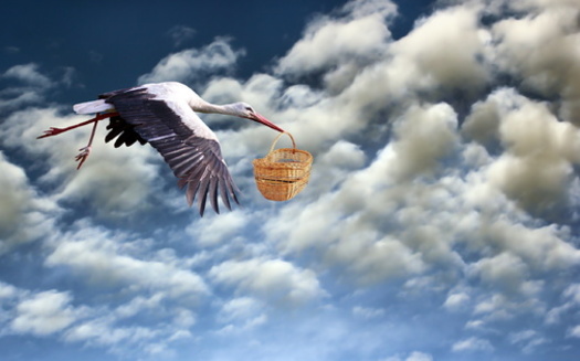 If the STORK Act is passed, Ohio would join states such as Georgia, which already allow tax deductions for unborn children, a policy enacted in 2022. (Adobe Stock)