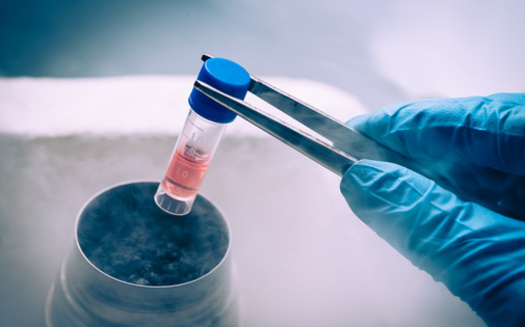 Stem cells are the building blocks for all of the body's organs and tissues. Scientists estimate that a human has between 300 million and 1 billion at birth. (Adobe Stock) 