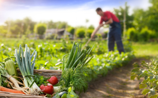 A new study from the University of California-Santa Barbara says nature-based agriculture can reduce the environmental footprint of chemical-intensive agriculture while providing good jobs in rural areas. (Adobe Stock)