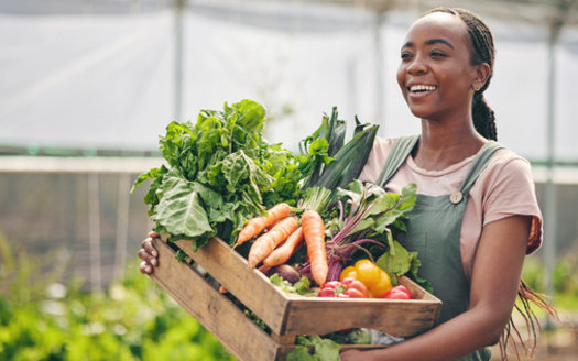 In the latest poll by No Kid Hungry Virginia, 78% of respondents said it has become more difficult to afford groceries in the last year. (Adobe Stock) 