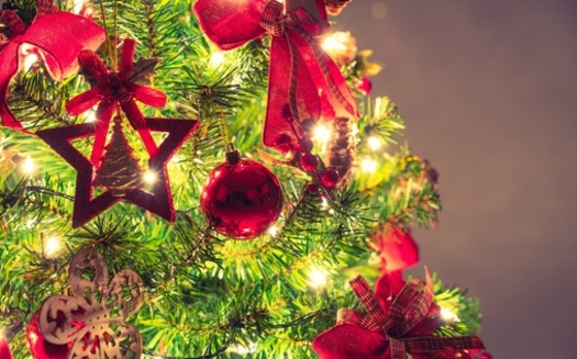 Virginia is one of the top 10 states in the nation for Christmas tree production. (jannoon028/Freepik)