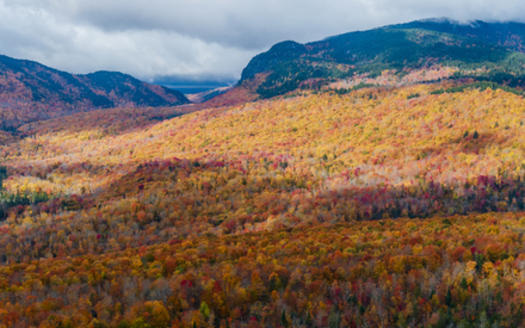 The Hilton Family Forest in Northwestern Maine lies within the Appalachian chain and contains the headwaters of the south branch of the Penobscot River. (Jerry Monkman/Conservation Fund)