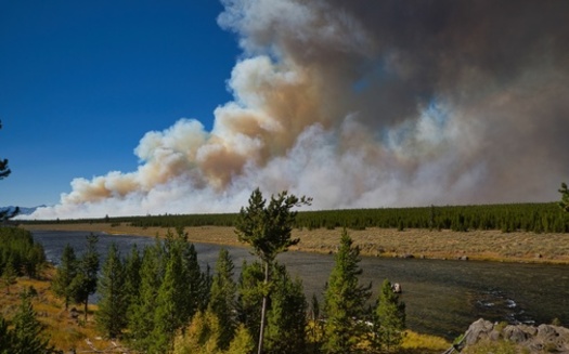About 70% of the 40,000 acres burned by wildfires across Wyoming in 2024 were on private or state lands, Gov. Mark Gordon said in a budget speech Monday. (Adobe Stock)