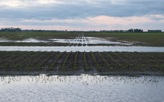 During the June floods in eastern South Dakota this year, the river level at the Big Sioux gauge hit 44.98 feet, breaking the previous record high by 7.28 feet, according to the High Plains Regional Climate Center. (Adobe Stock)