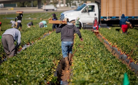 Each year, immigrants add $54 billion to Colorado's economy. (Adobe Stock)