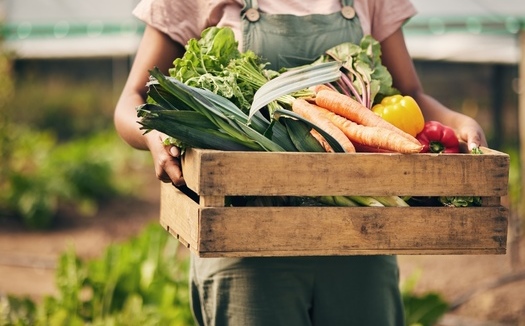 Colorado's Community Food Grants are expected to create economic benefits for local economies, much like SNAP benefits that add $1.50 for every dollar invested. (Adobe Stock)
