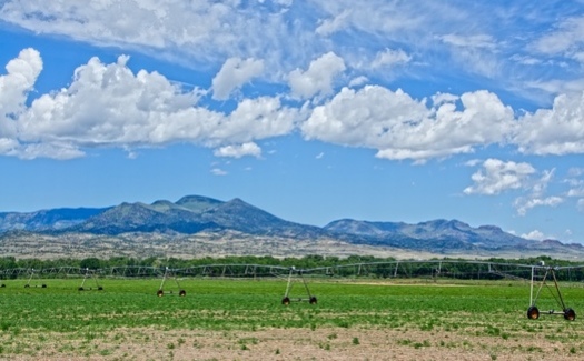 Colorado's San Luis Valley produces two billion pounds of potatoes a year, the second largest yield in the nation. (Adobe Stock)