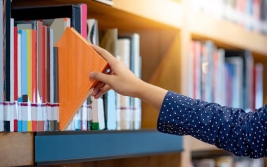 Critics argue Florida's book removals limit access to important information. At the same time, state officials insist they ensure only age-appropriate materials remain in schools, rejecting claims of outright bans as a 