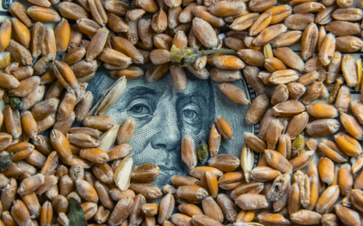 As they look for long-term support through the Farm Bill, American farmers said they are facing many evolving obstacles, including climate-change threats and increased global competition for exports. (Adobe Stock)