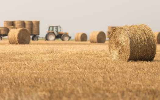 New Hampshire's roughly 4,000 farms support more than 20,000 jobs and provide an economic value of $1.2 billion dollars through direct product sales, labor and agritourism, according to the University of New Hampshire. (Adobe Stock) 