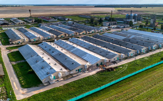 Iowa is the nation's number one hog producer, which is a huge economic driver for the state, but the industry also produces more than 100 billion pounds of manure every year. (Adobe Stock)