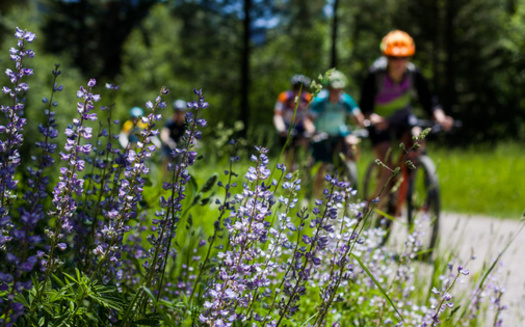 Outdoor recreation supported 5 million jobs in 2023, or 3.1% of employment, according to an analysis from the Outdoor Recreation Roundtable. (Westley/Adobe Stock)<br />