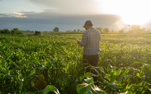 Many federal conservation programs received a boost in funding from the Inflation Reduction Act, one of the largest investments in climate Congress has made in the nation's history. (Adobe Stock)