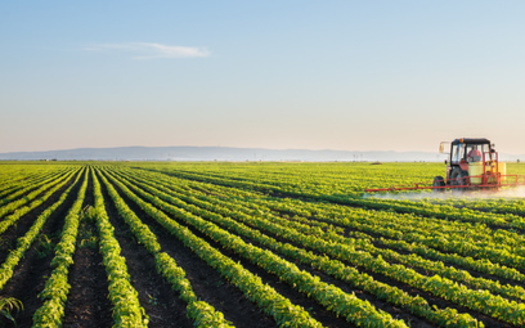 Trace Company's report says Indiana farms lose nearly $30 million, or $552 per farm every year from natural disasters. (Adobe Stock)