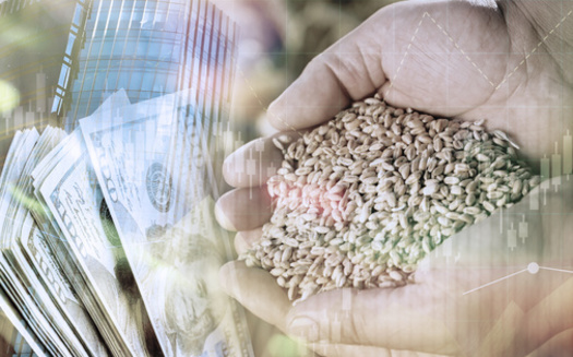 The Farm Bill extension is in effect through Sept. 30, 2025, and includes nearly $31 billion in economic and disaster aid for farmers. (Adobe Stock)<br />