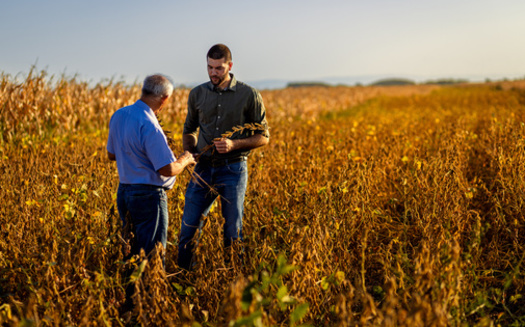 After realizing their limited capacity to implement statutory state conservation programs, Wisconsin replaced the district model in 1982 with a county-based model, which joined overlapping issues like parks and planning with conservation. (Adobe Stock)<br />