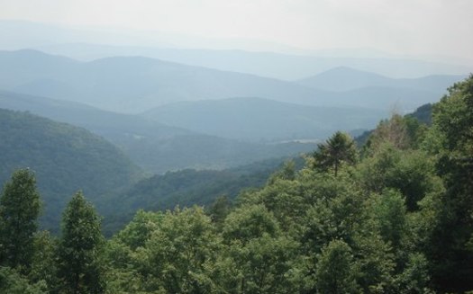 At least 75 tree species, more than 225 bird species and eight federally listed, threatened or endangered bird, bat, salamander and plant species call the Monongahela National Forest home, according to the U.S. Forest Service. (Wikimedia Commons)<br />