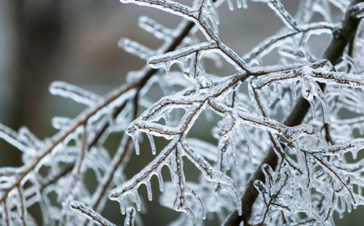 Roads, bridges and overpasses across the state of Texas have been treated with brine in anticipation of a wintry mix this week. (cj2a/Adobe Stock)
