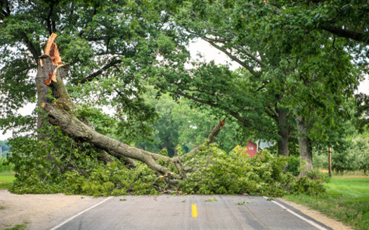 The National Weather Service reports an EF-1 tornado struck Athens at 11:15 p.m., packing peak winds of 100 mph. It remained on the ground for five minutes, carving a 3.87-mile path that was up to 160 yards wide. (Adobe Stock)