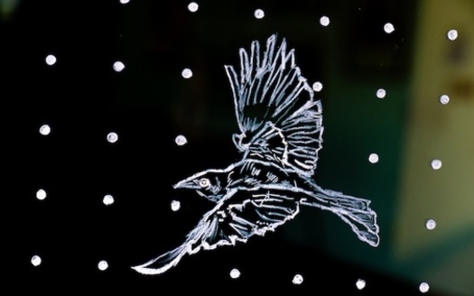 The U.S. Fish and Wildlife Service estimates more than one billion birds fly into glass each year in the United States, with most fatal crashes occurring at homes and buildings less than four stories tall. Applying patterns to window exteriors can help avoid these incidents. (Florida Gulf Coast University)