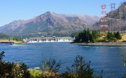 High water flows brought young sockeye quickly to the ocean, contributing to the record number of fish passing through the Bonneville Dam last summer, 92,000 more than the previous record. (Jason/Adobe Stock)