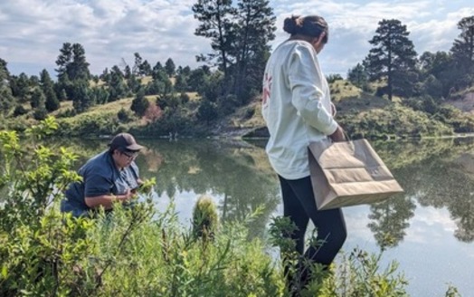 Along South Dakota's Rosebud Reservation, Sicangu Co. members Mayce Low Dog and Karen Moore harvest local plants. (Photo courtesy of Grace Hussain)