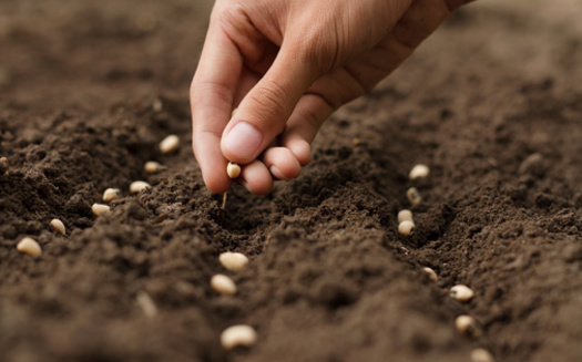 If confirmed, Brooke Rollins will direct the U.S. Department of Agriculture and its 100,000 employees, running on an annual budget of $437 billion. (Adobe Stock)