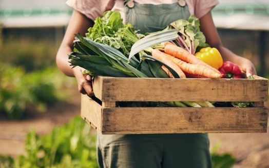 Congress recently passed a one-year extension of the Farm Bill, allocating $20 billion for federal farm programs and an additional $10 billion in direct economic relief aimed at helping farmers. (Adobe Stock)<br />