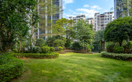 According to the Texas Tree Foundation, the lack of trees and green spaces contributes significantly to the 