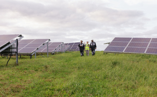 Ohio's clean energy sector has seen significant growth, with clean energy and clean vehicle jobs reaching more than 119,000 in 2023, a 4.4% increase from the previous year. (Oleksii Syrotkin/Stocksy)