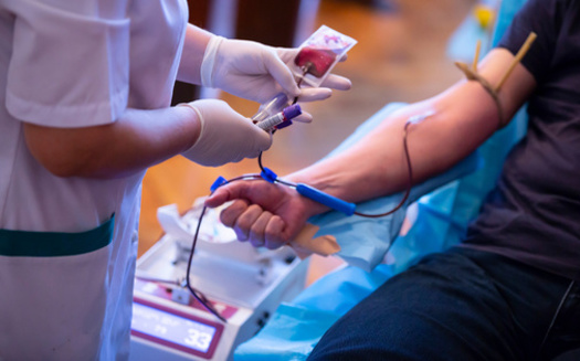 One in seven hospitalized patients will need a blood transfusion. (Adobe Stock) 