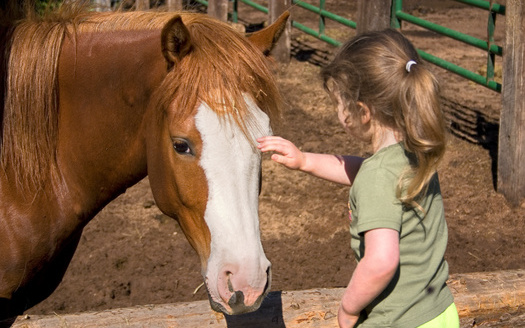 Arizona has the largest difference in the share of children covered by Medicaid/CHIP in small towns and rural areas compared to metro areas, according to the Georgetown University Center for Children and Families. (Beth Van Trees/Adobe Stock)
