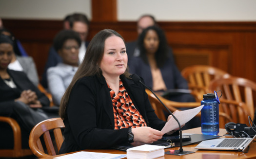 Michigan House Rep. Carrie Rheingans, D-Ann Arbor, represents Michigan's 47th District, covering parts of Jackson and Washtenaw counties. She was elected in Nov. 2022 and began her term in Jan. 2023. (Rep. Carrie Rheingans) 