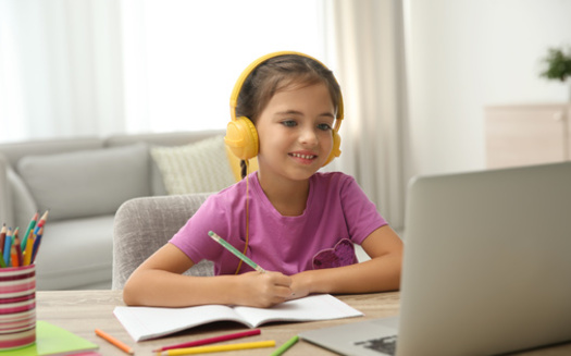 In Pennsylvania, charter schools and cyber charter schools are required to operate as public, nonprofit organizations. (Adobe Stock)