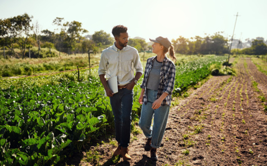 The Climate-Smart Program includes participating farmers from Wisconsin, Iowa, Minnesota and South Dakota. (Adobe Stock)