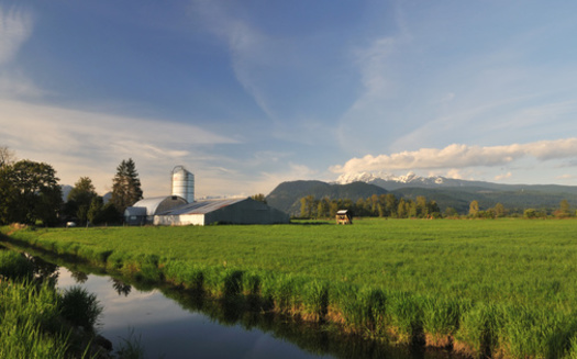 Small streams account for a very small percentage of total surface area, yet a study found they contribute 20% to 30% of total nitrous oxide emissions, making them 