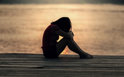 The National Association of School Psychologists and other organizations have declared a national youth mental health emergency, with Florida's trends reflecting the broader crisis. (sasint/Pixabay)