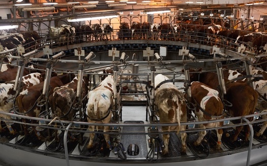 Proponents of factory farms argued moving millions of livestock off pastures and into high-density operations, where in many cases animals cannot even move around, conserves valuable farmland. (Adobe Stock).