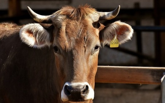 The 2023 Exposing Agricultural Trade Suppression Act, sponsored by Sen. Roger Marshall, R-Kansas, and Rep. Ashley Hinson, R-Iowa, was a revised version of the 2021 bill, which also failed to advance. (Alexas_Fotos/Pixabay)