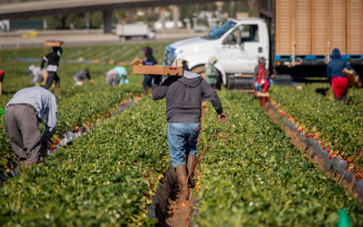 Executive orders signed by President Donald Trump significantly expand the legal authority to deport immigrants living in the U.S. (FArmstrong/Adobe Stock) 