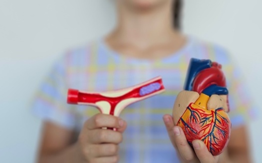 Each year, congenital heart defects are found in about one in 100 births in the United States. (Adobe Stock)