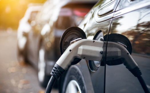 Electric vehicle registration went up by nearly 25,000 cars between September 2023 and 2024 in North Carolina. (Nick Starichenko/Adobe Stock)