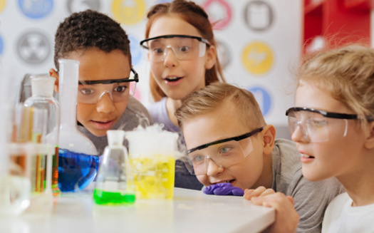 Data show that just under a quarter of California 4th and 8th graders are considered proficient in science. (Viacheslav Yakobchuk/Adobe Stock)<br />